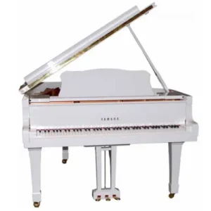 Kawai GL-10