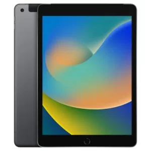 Apple iPad 9th Gen 256GB