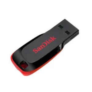 SanDisk 128GB Flash Drive